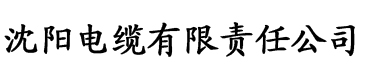 91抖音成长人版testflight电缆厂logo